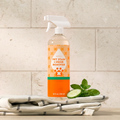 Pet Stain & Odor Remover